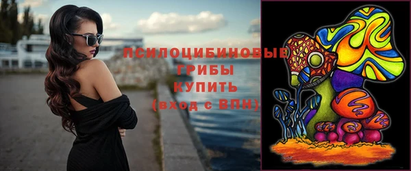 мяу мяу мука Алексеевка
