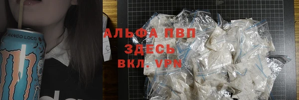 гашик Медногорск